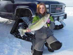 A beautiful emerald green walleye ice fishing on Lake Winnipeg with Blackwater Cats Outfitter