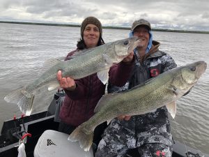 2 anglers holding a double header of large master angler lake winnipeg walleye