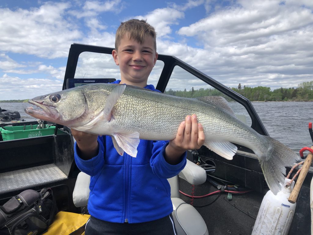 Lake Winnipeg Walleye Rates Fishing With Blackwater Cats Outfitter   IMG 2216 1024x768 