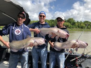 3 anglers with 3 huge catfishes